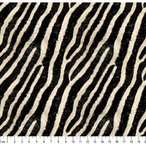 Zebra Cor 03 (Est. Digital 3D) 